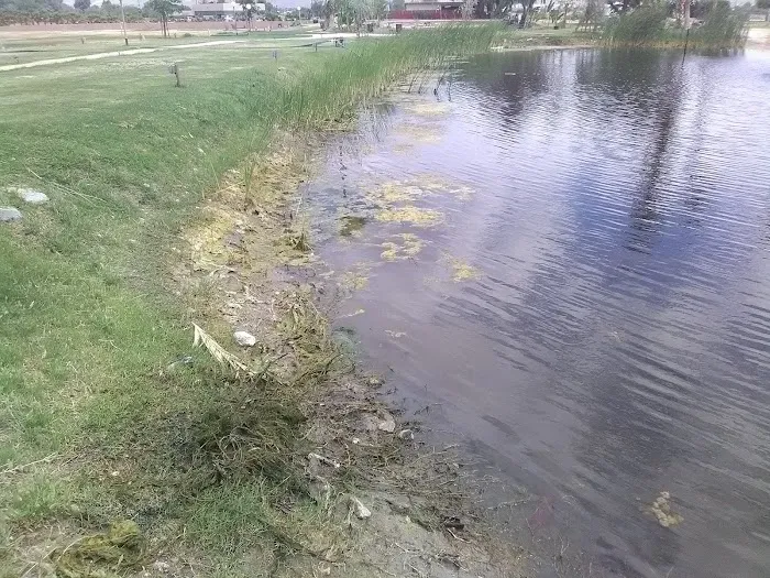 Shadow Hills RV Resort Picture 7