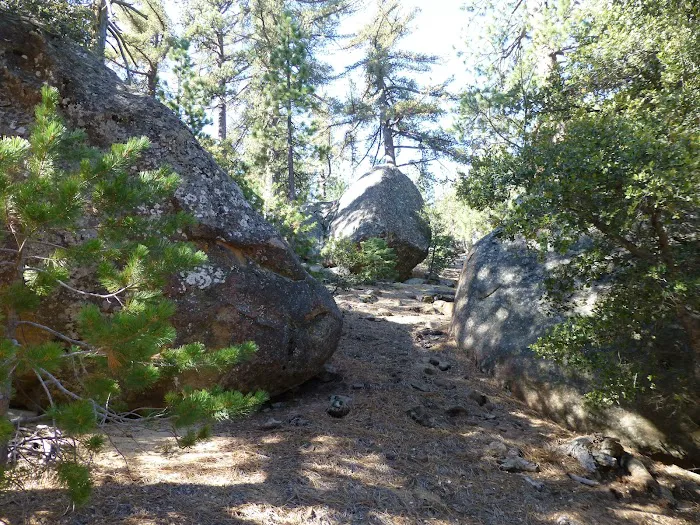 Mission Pine Spring Camp Picture 3