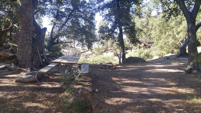 Mission Pine Spring Camp Picture 9