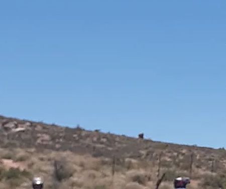 Oak Springs OHV Campground and Park