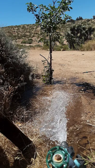 Oak Springs Campground Picture 1