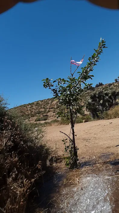 Oak Springs Campground Picture 5