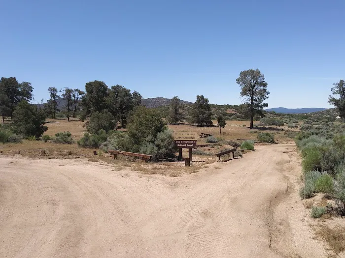 Horse Spring Campground Picture 7