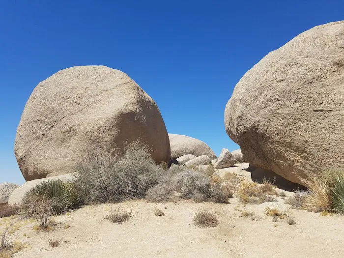 Horse Spring Campground Picture 5