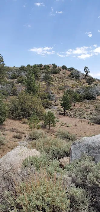 Big Pine Equestrian Group Campground Picture 4