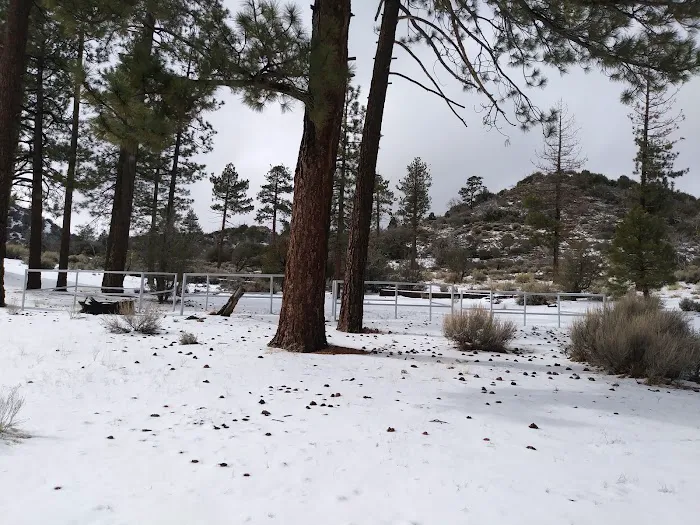 Big Pine Equestrian Group Campground Picture 7