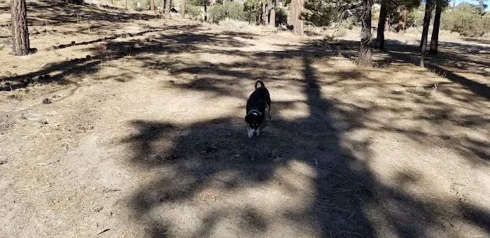 Big Pine Equestrian Group Campground Picture 5