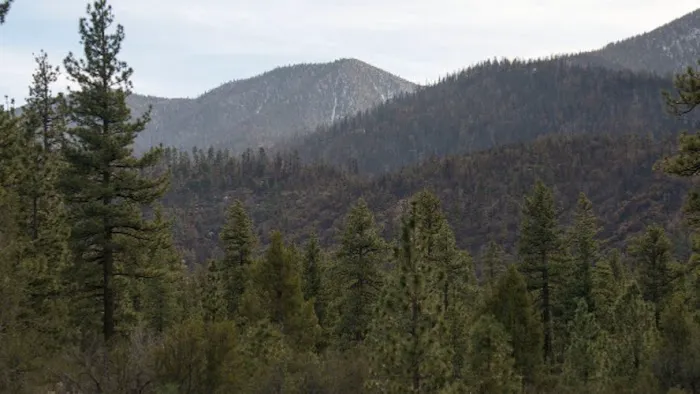 Big Pine Flat Family Campground Picture 10