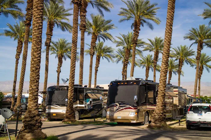 Thousand Trails Palm Springs Picture 9