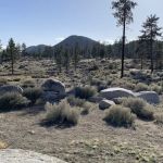 Yellow Post Campsite #7