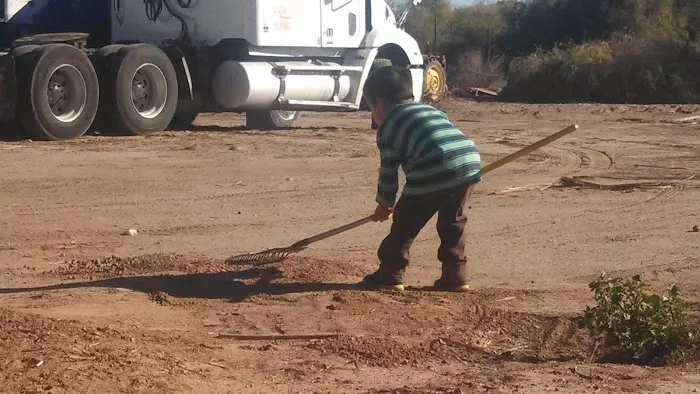 Country Life RV Park Picture 6