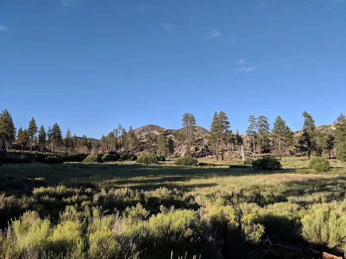 Ironwood Group Campground Picture 8