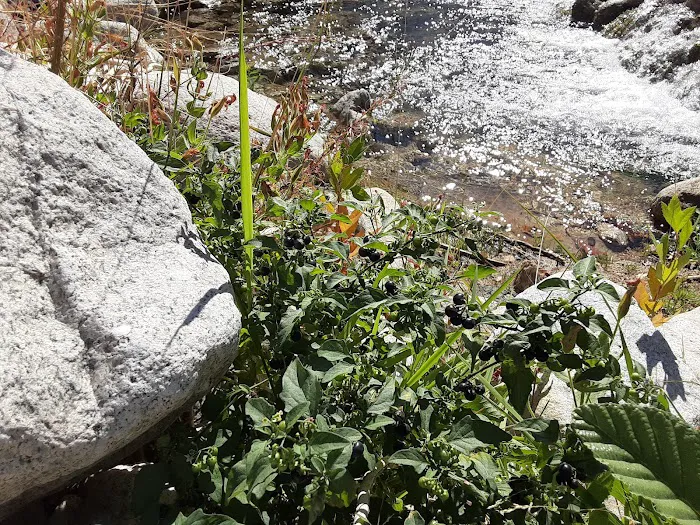 Bear Creek Trailhead Picture 2
