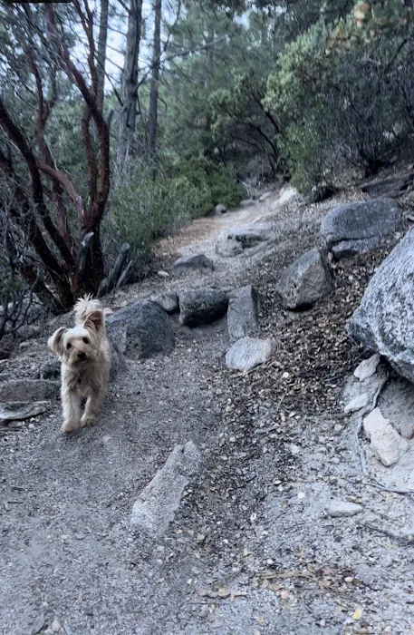Bear Creek Trailhead Picture 9