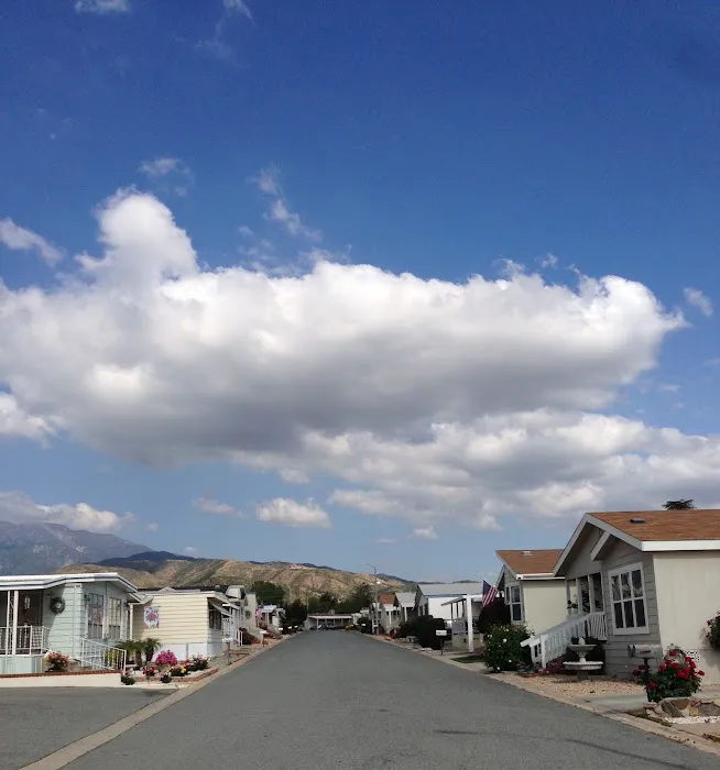 Mission Valley Oaks Picture 3