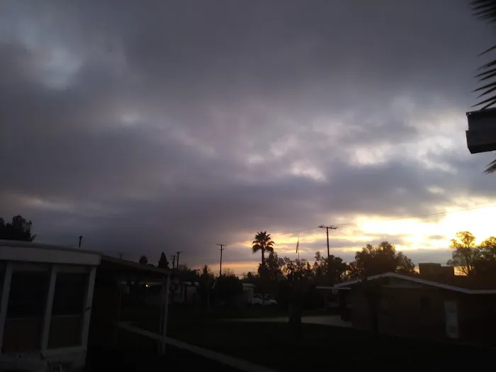 Park Terrace Mobile Homes Picture 2