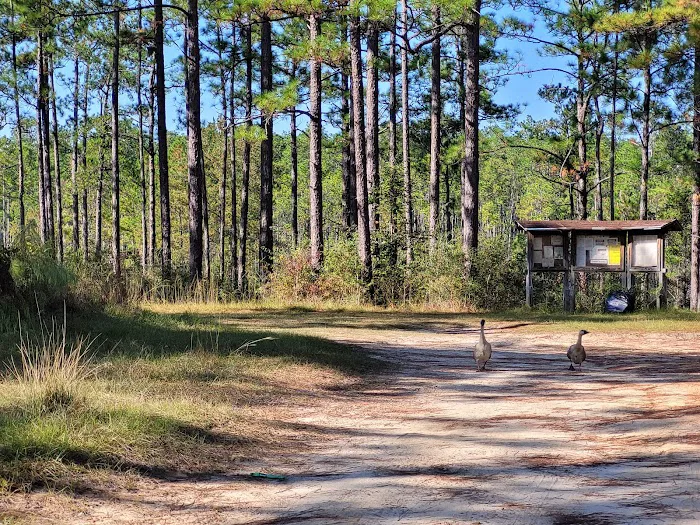 Pow Camp Recreation Area Picture 10