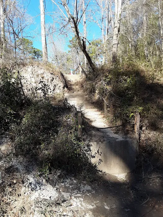 Janice Landing/ US Forest Service Picture 6