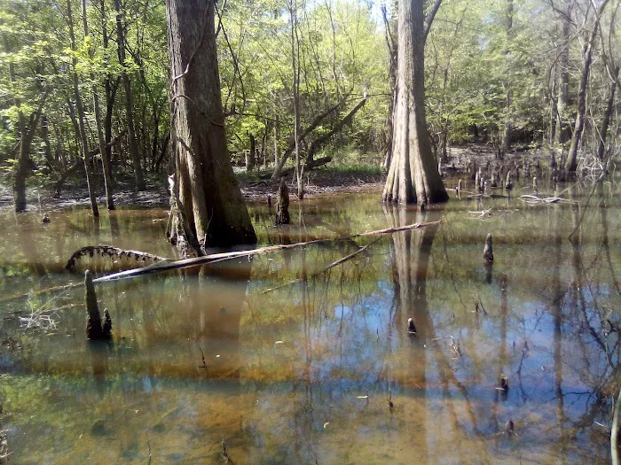 Moodys Landing Picture 7