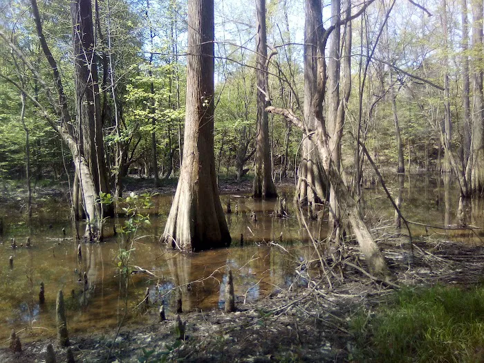 Moodys Landing Picture 5