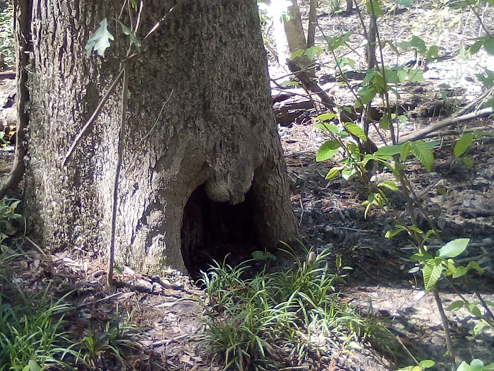 Moodys Landing Picture 10