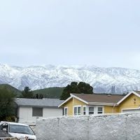 Mountain Springs ico