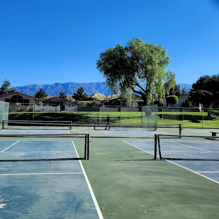 Mountain Springs Picture 8