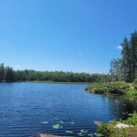 Agnes Lake ico