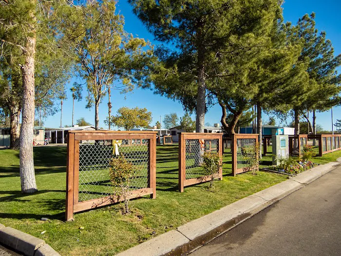 Palm Vista - A Cobblestone Community Picture 3