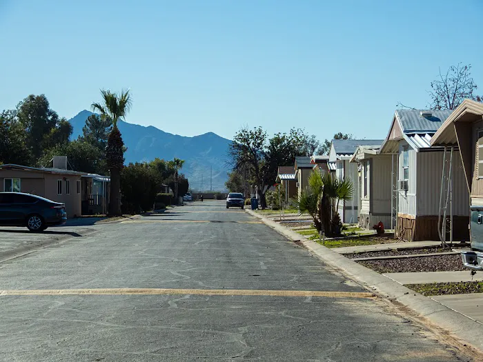 Palm Vista - A Cobblestone Community Picture 4