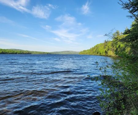 BWCA Camp 741