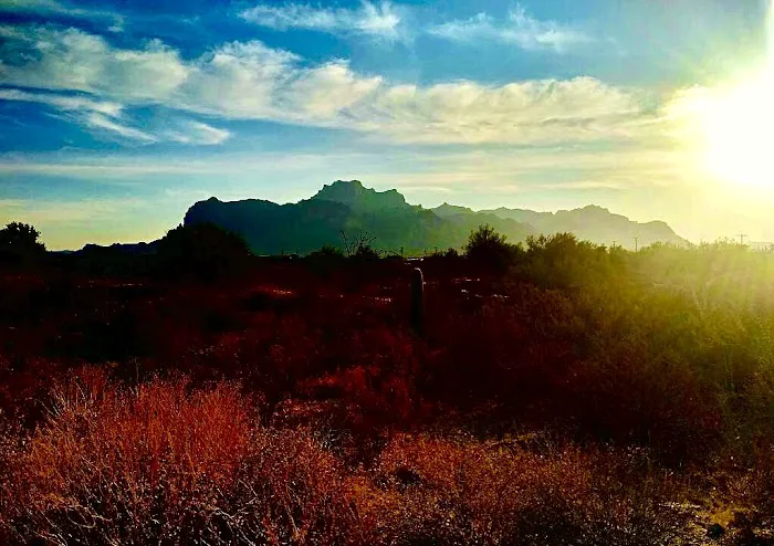 Arizona RV & Mobile Home Park Picture 6