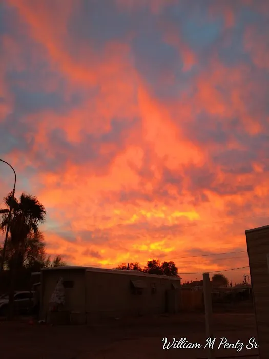 Arizona RV & Mobile Home Park Picture 3