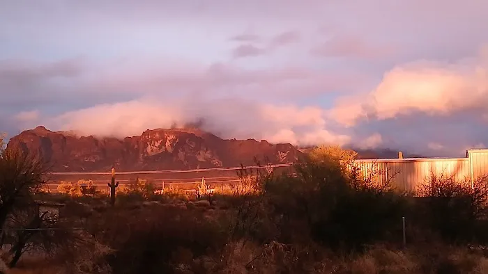 Arizona RV & Mobile Home Park Picture 2