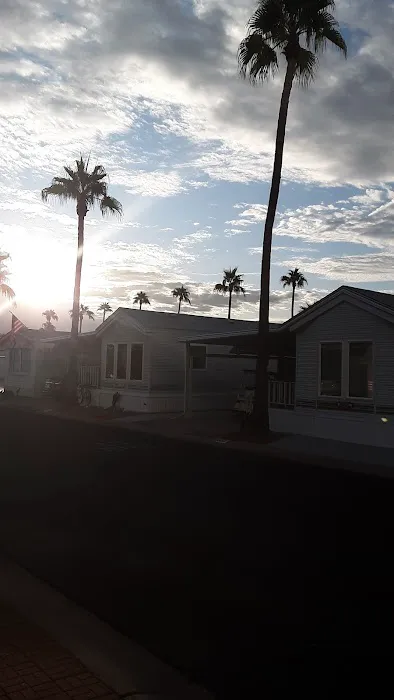 Saguaro Canyon Village Picture 1