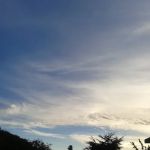 Cypress Square Mobile Home Park