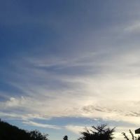 Cypress Square Mobile Home Park ico