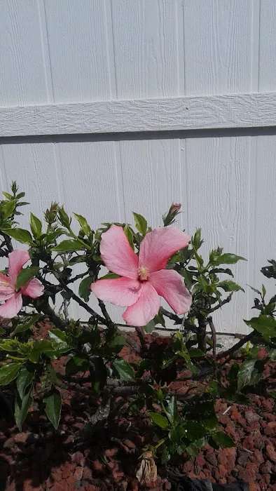 Cypress Square Mobile Home Park Picture 6