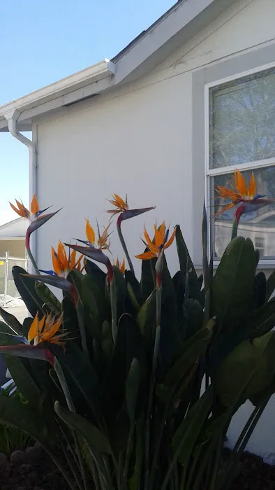 Cypress Square Mobile Home Park Picture 2