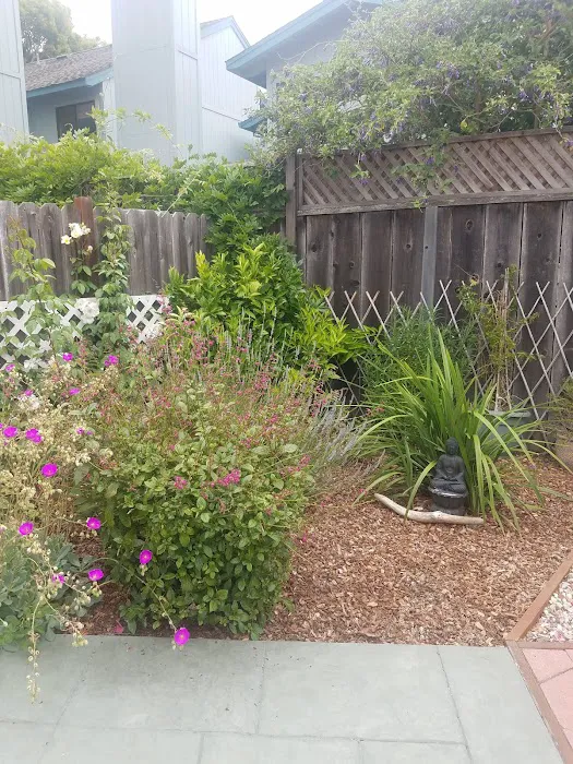 Shoreline Mobile Estates Picture 8
