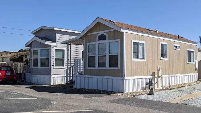 Green Parrot Mobile Homes Park Picture 2