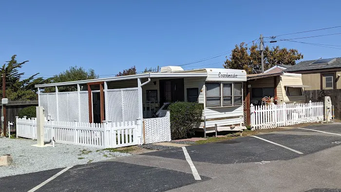 Green Parrot Mobile Homes Park Picture 3