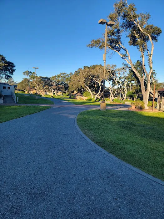 Monterey Fairgrounds RV Park Picture 1