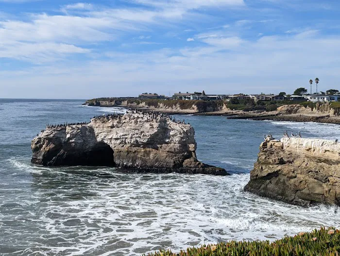Santa Cruz Harbor RV Park Picture 9