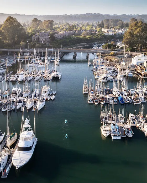 Santa Cruz Harbor RV Park Picture 3