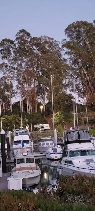 Santa Cruz Harbor RV Park Picture 2