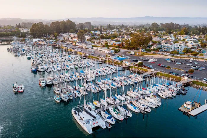 Santa Cruz Harbor RV Park Picture 6