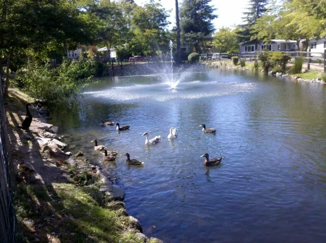 Vista del Lago Picture 2
