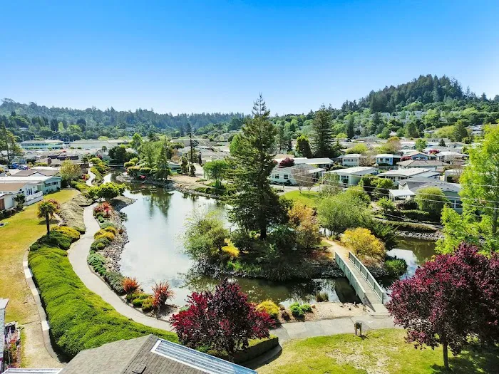 Spring Lakes Park Picture 3