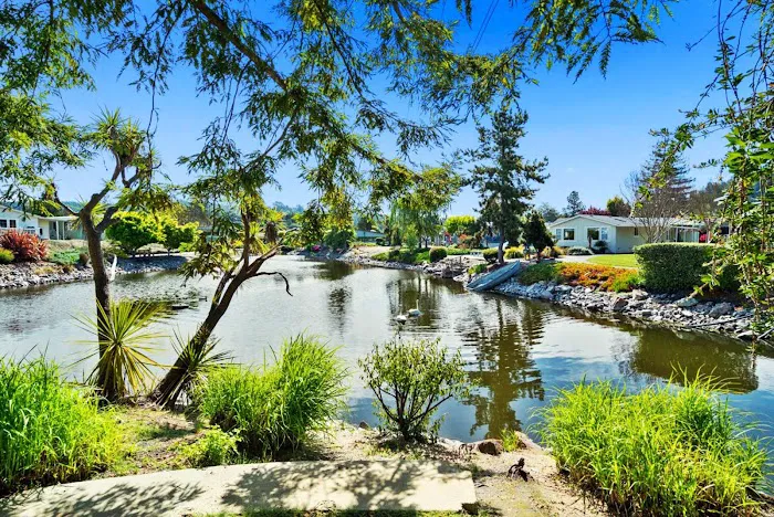 Spring Lakes Park Picture 1